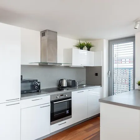Stylish Penthouses Featuring A Terrace In * Praag