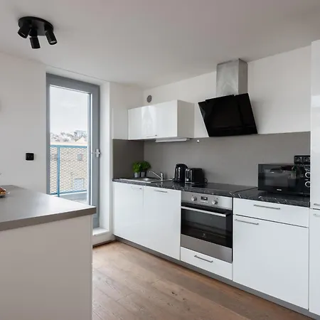 Stylish Penthouses Featuring A Terrace In Praga